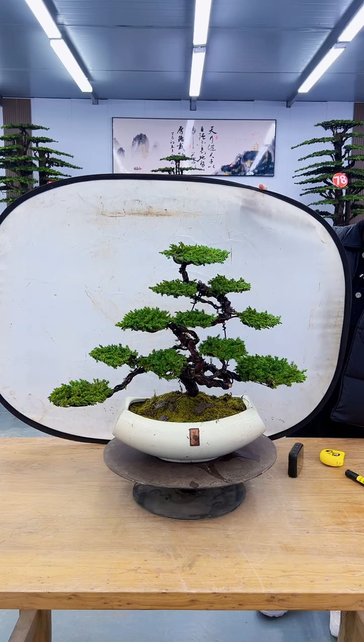 以实际为准00000000