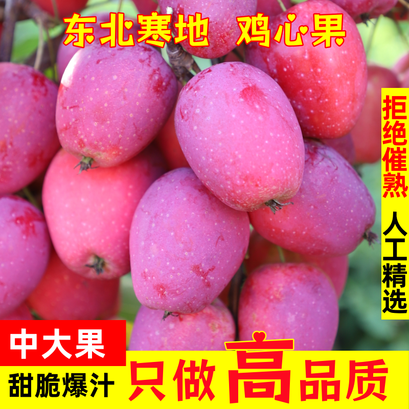 【中大果】东北特产鸡心果脆甜多汁2斤/3斤/5斤