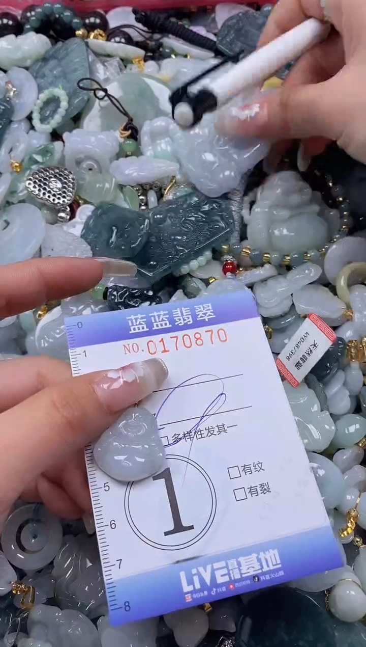 【闪购商品】翡翠颈饰未镶嵌闪购0170870多样性发其一