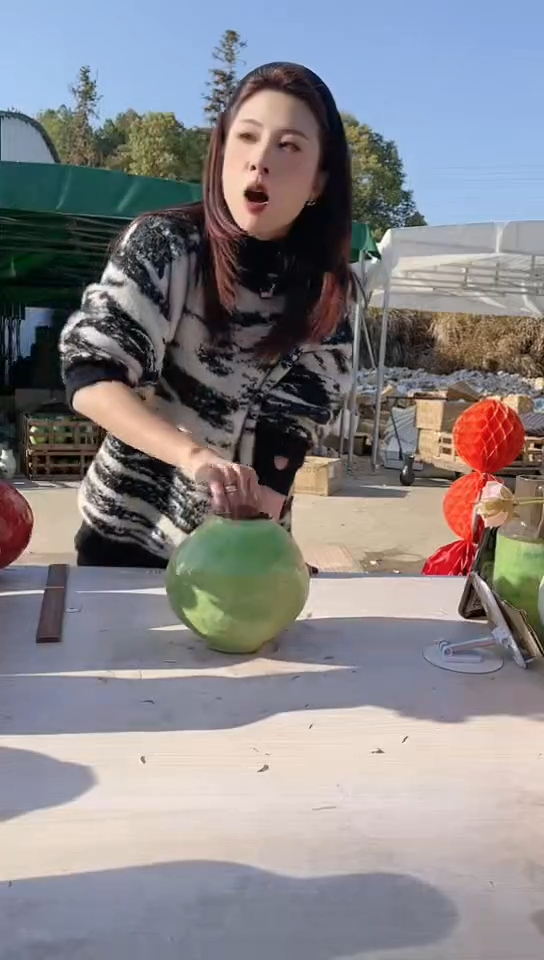 【闪购商品】陶瓷景德镇手工陶瓷TUI