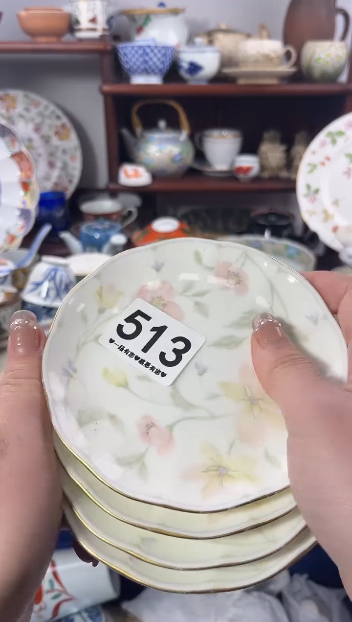 【闪购商品】瓷片513................