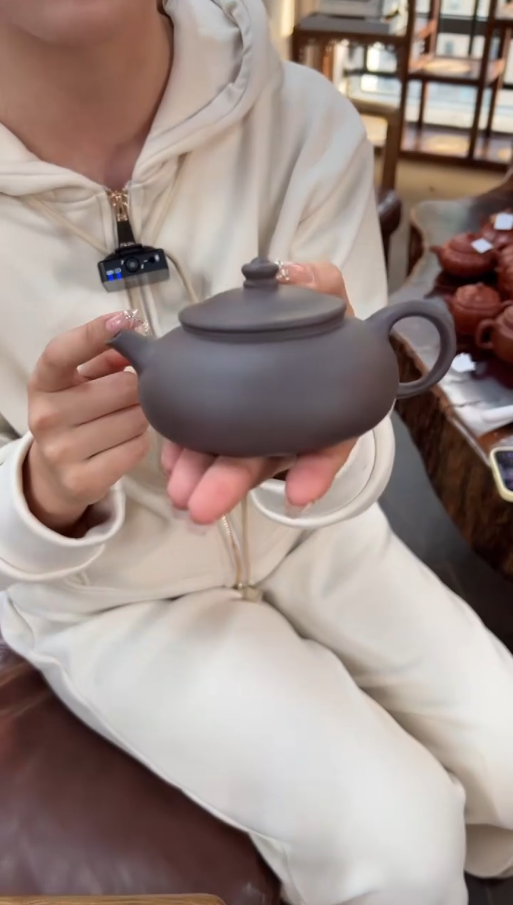 【闪购商品】紫砂茶壶【头哥手工壶】寒江天青泥