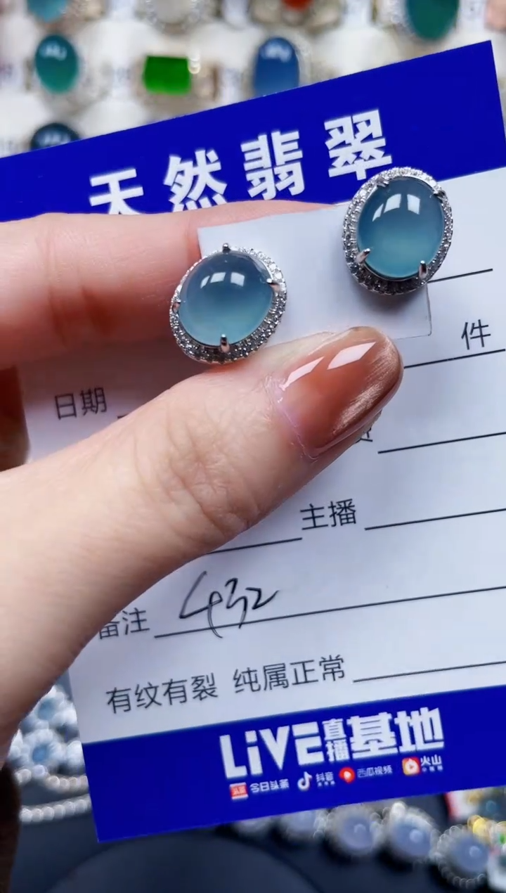 银S925镶嵌翡翠耳饰432