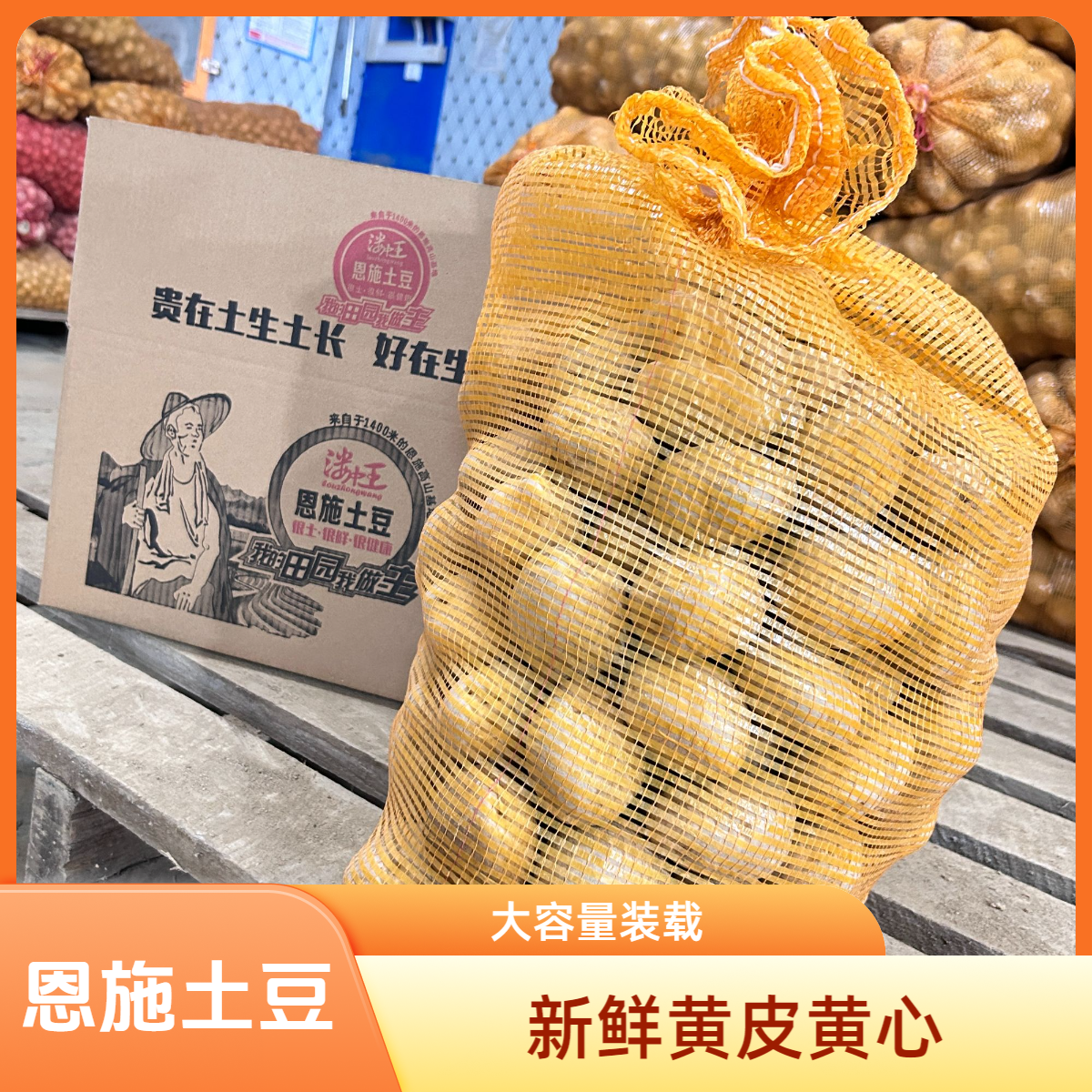 【18斤量贩装】恩施土豆鹤峰马尔科黄皮黄心马铃薯洋芋（轻微发芽）
