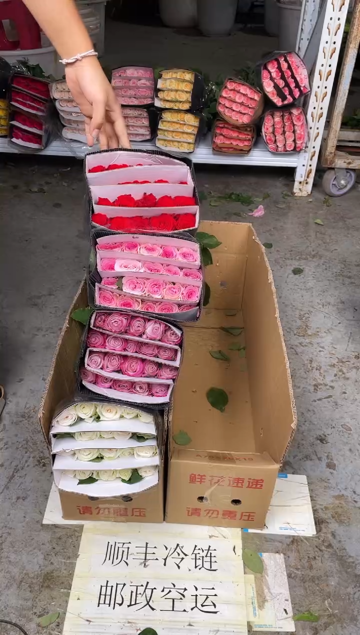 白荔枝20枝+气场20枝+洛神20枝+珍爱20枝