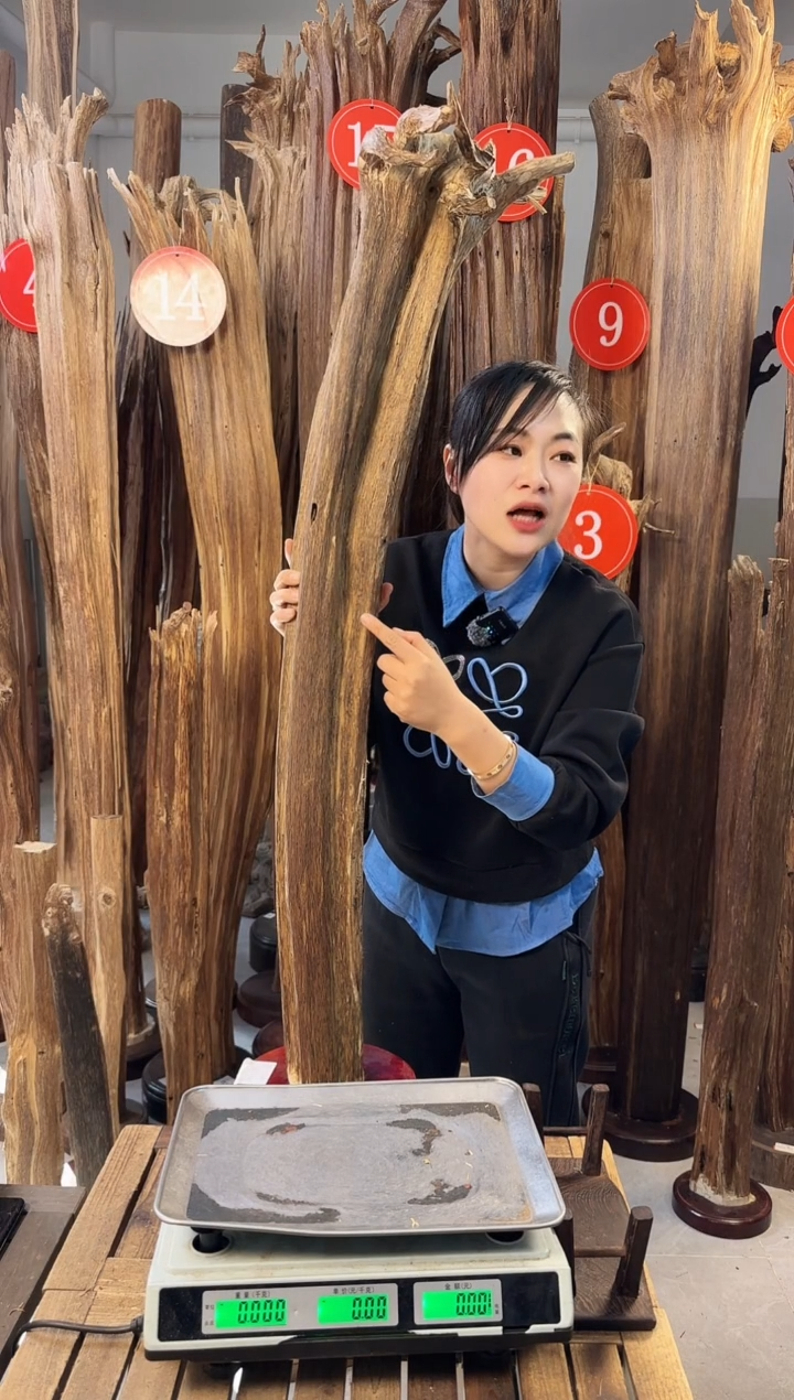 【闪购商品】沉香摆件   沉香摆件多样性发一件43