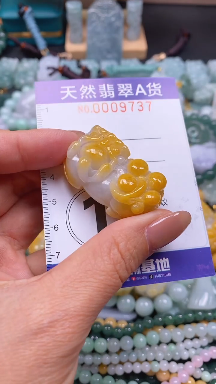 颈饰未镶嵌翡翠闪购0009737