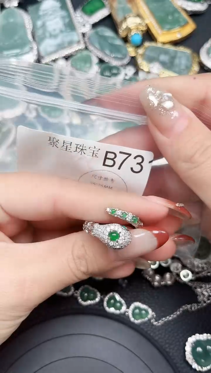 【闪购商品】翡翠颈饰未镶嵌赠皮绳731