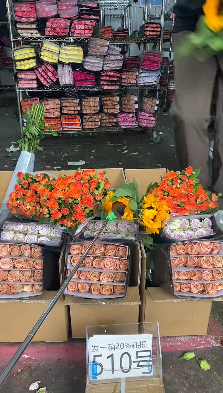 510号♥含20%耗损发一箱