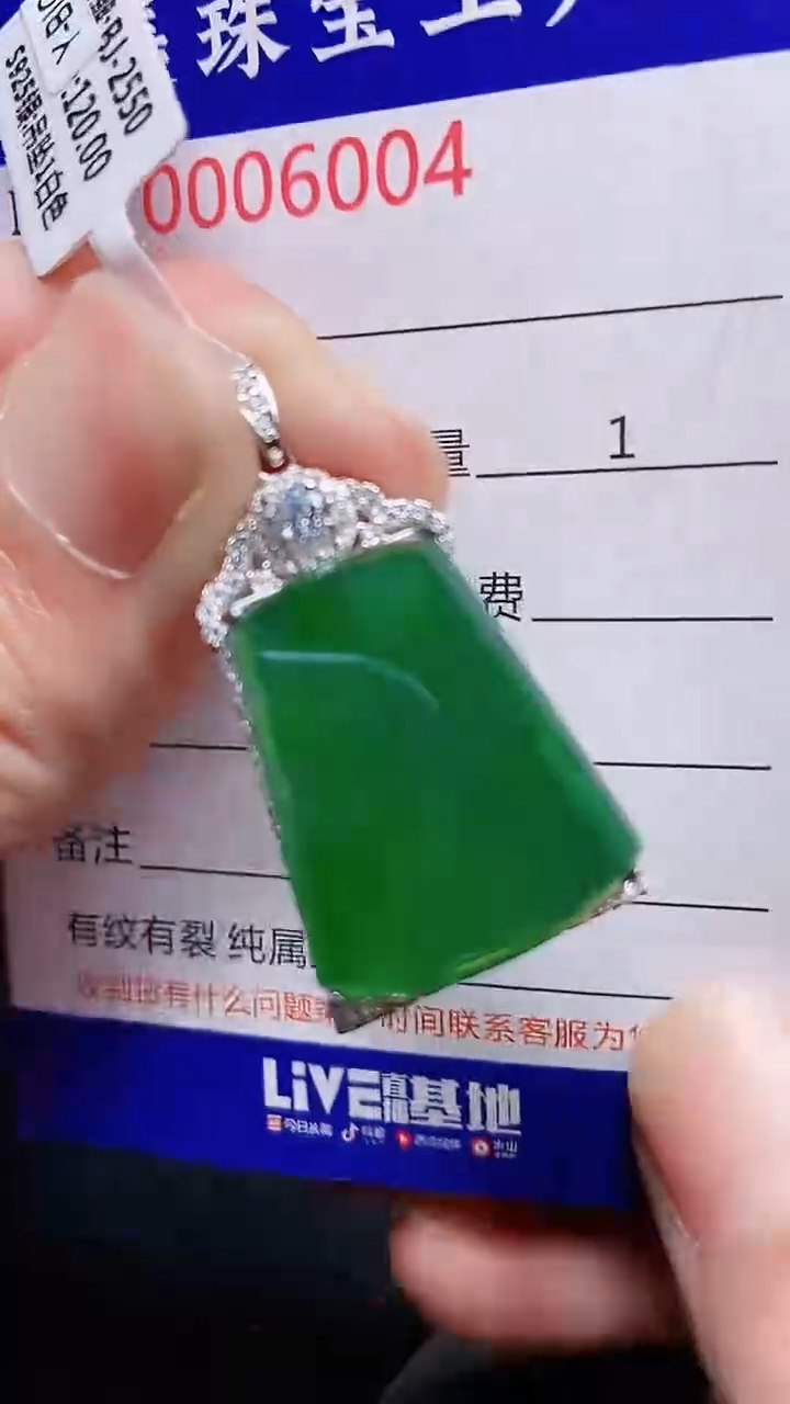 颈饰银S925镶嵌翡翠6004