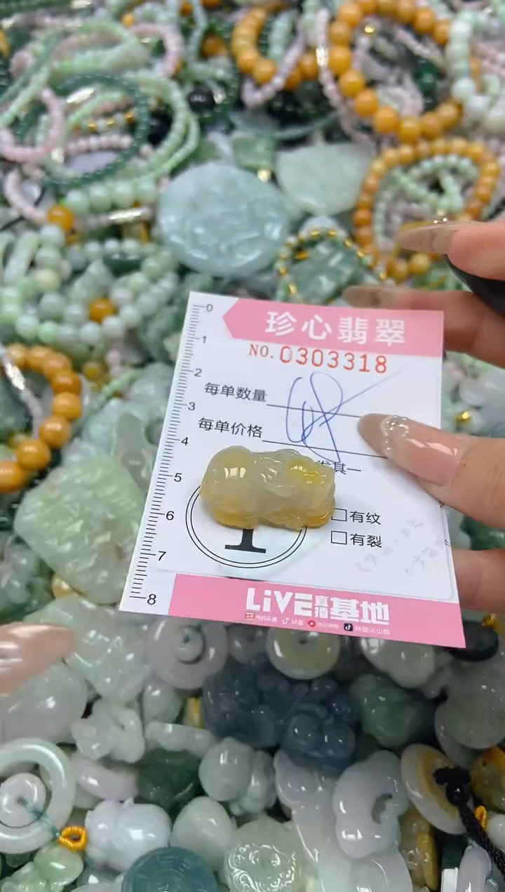 翡翠未镶嵌颈饰闪购0303318