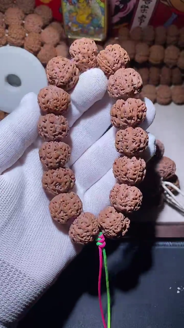 【闪购商品】金刚菩提手串福利22五星双龙