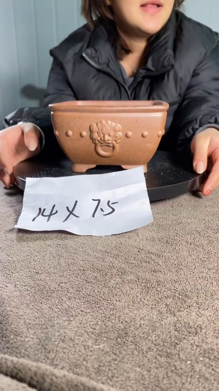 A宜兴紫砂小花盆
