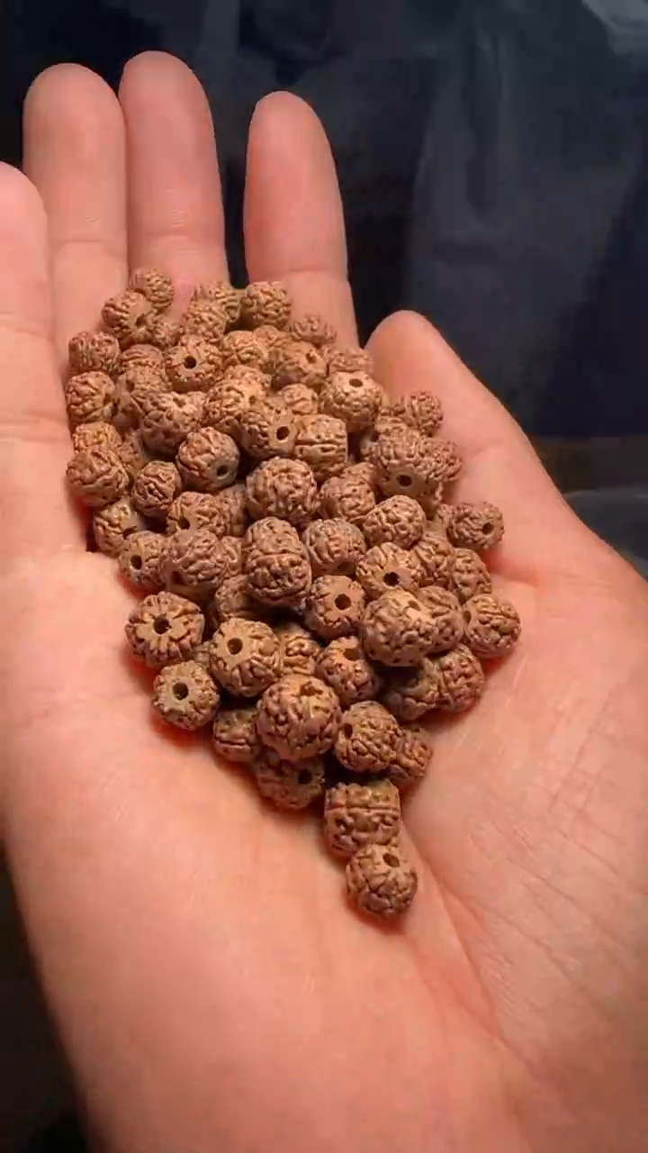 金刚菩提手串非全品龙切一代龙散籽7-8mm一份一百颗