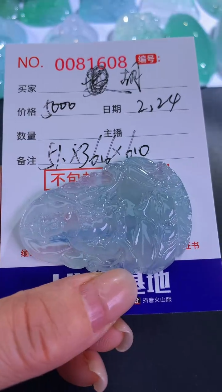【闪购商品】翡翠颈饰未镶嵌胡