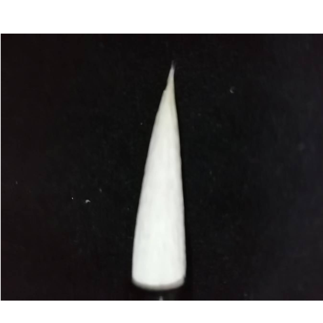 4只 羊毫小湖羊毫