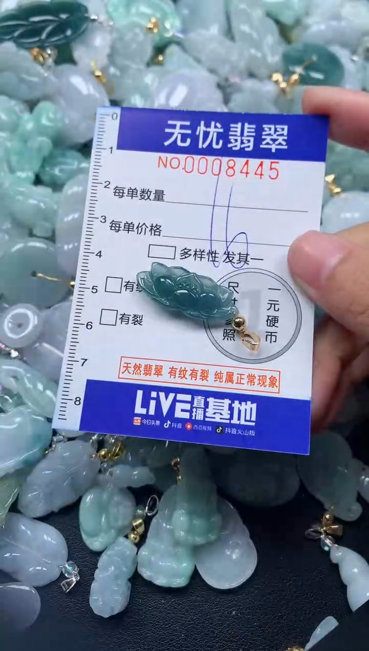 颈饰未镶嵌翡翠8445