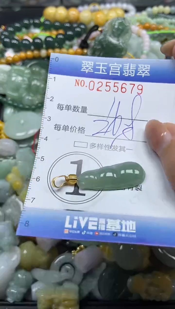 颈饰未镶嵌翡翠闪购C0255679