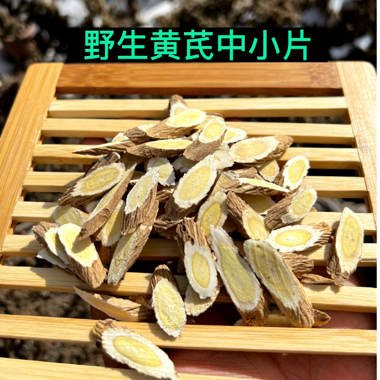 甘肃深山采挖野生黄芪中小片生长20年侧枝切片250~500克