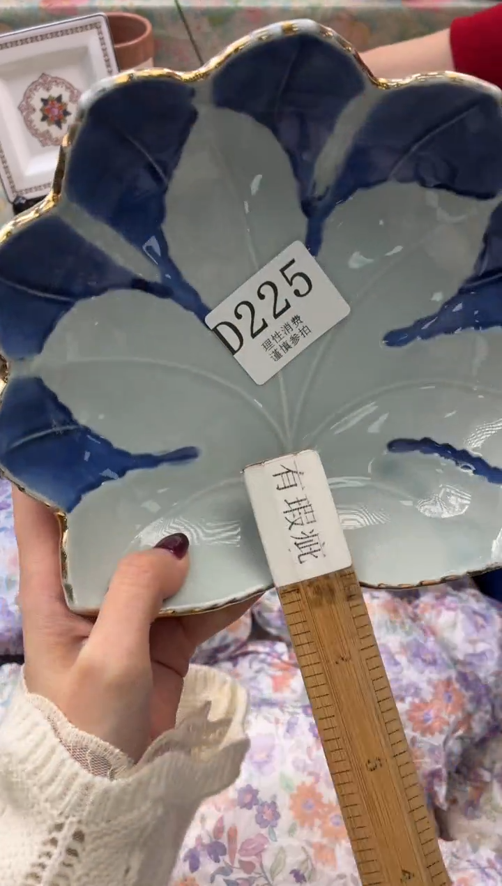 瓷片果*       D225