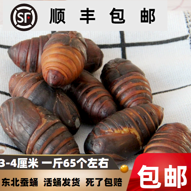 【特价包邮】东北特产鲜活二黄茧蛹3cm+高蛋白绿色优质营养