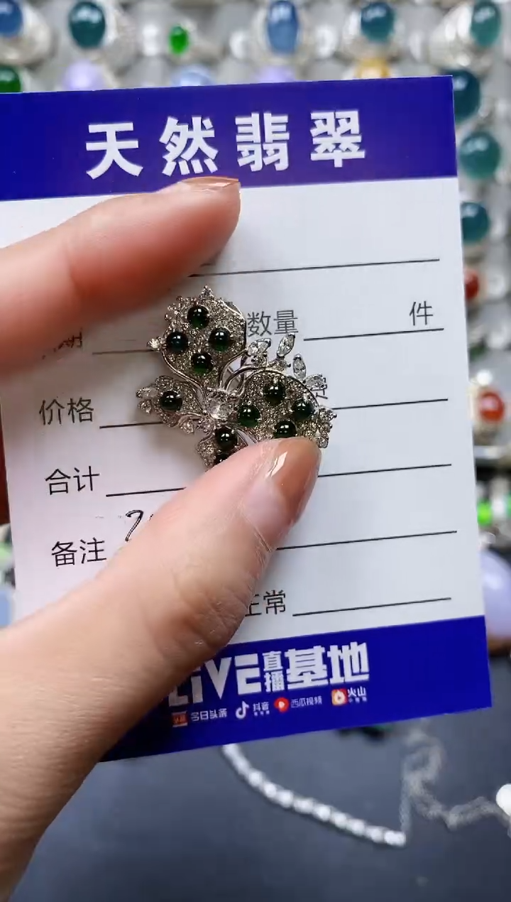 【闪购商品】翡翠颈饰银S925镶嵌0382