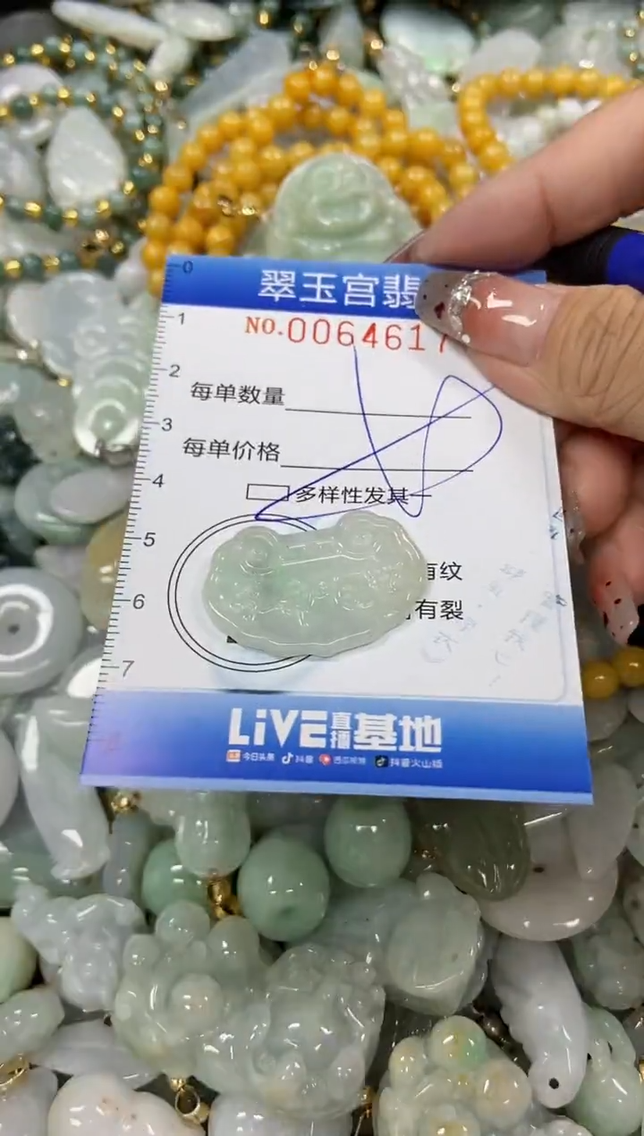 【闪购商品】翡翠颈饰未镶嵌闪购商品0064617多样性发其一