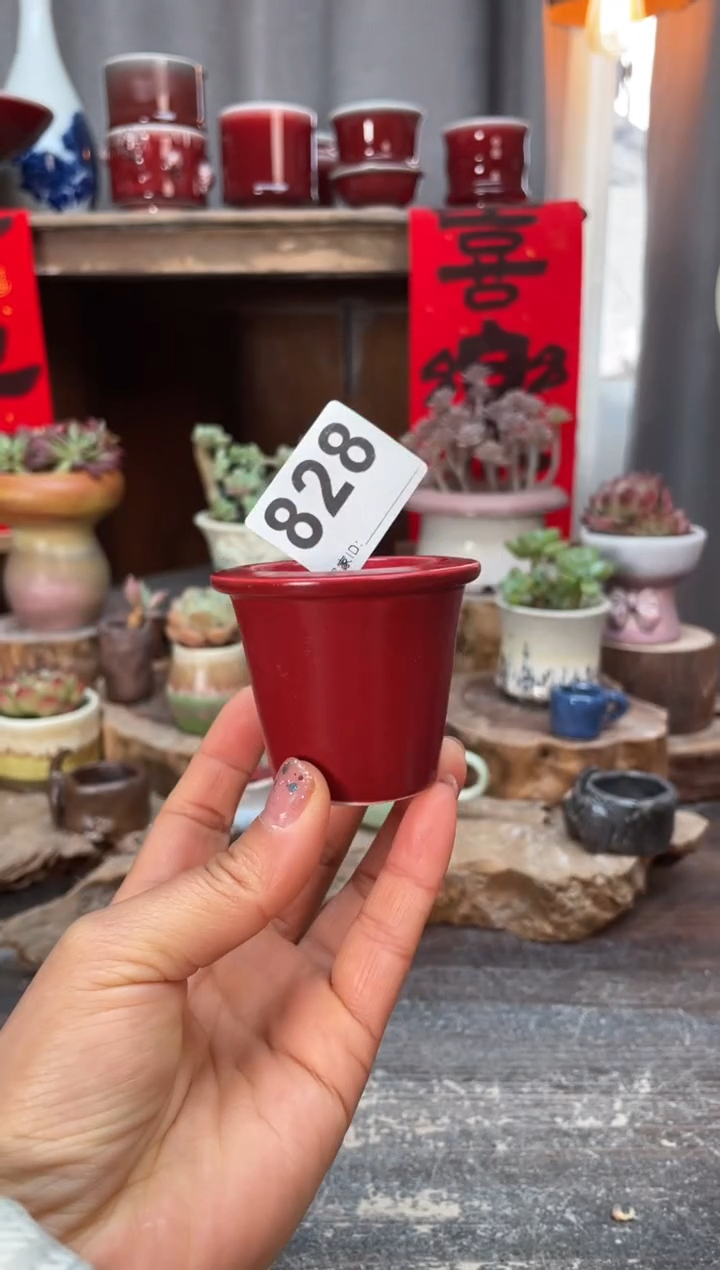 【闪购商品】摆件828知木小芳花盆