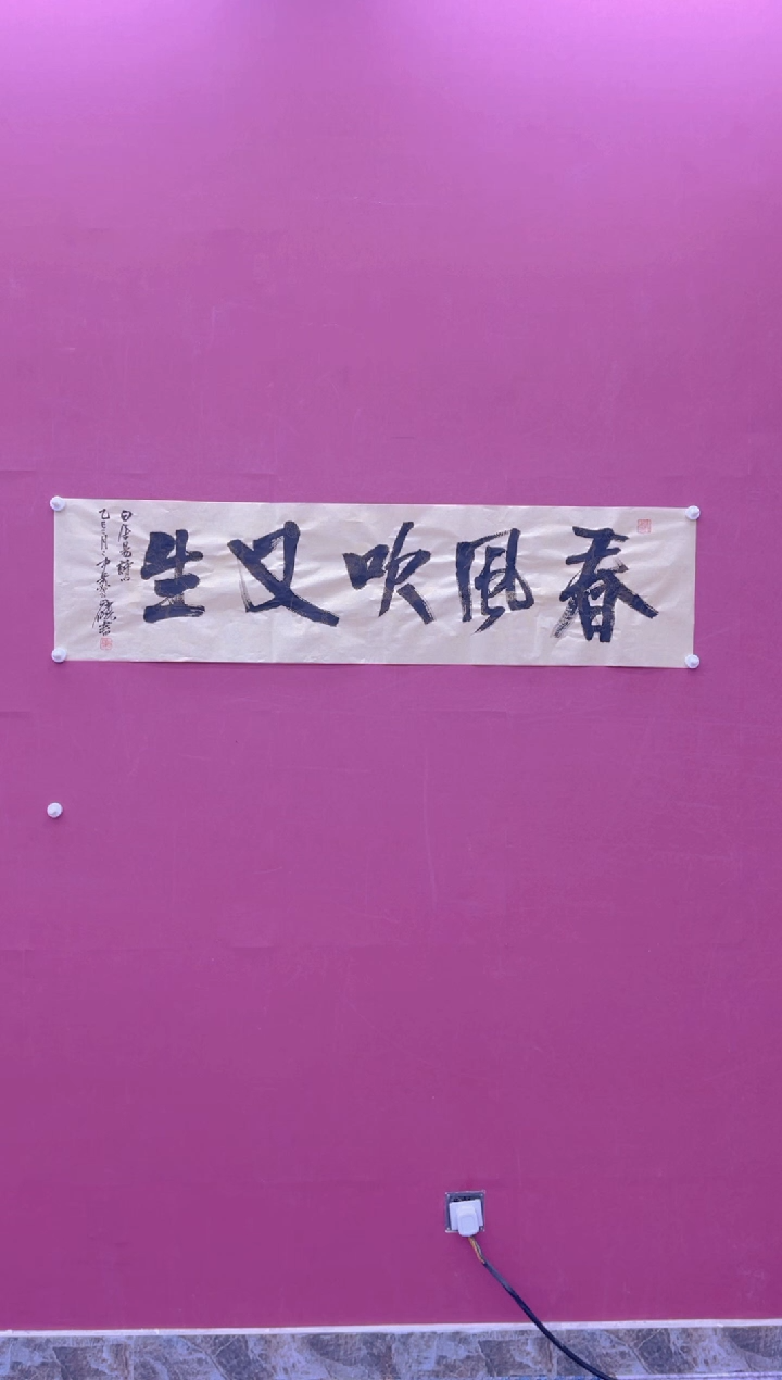 【闪购商品】书法春风吹又生书法作品