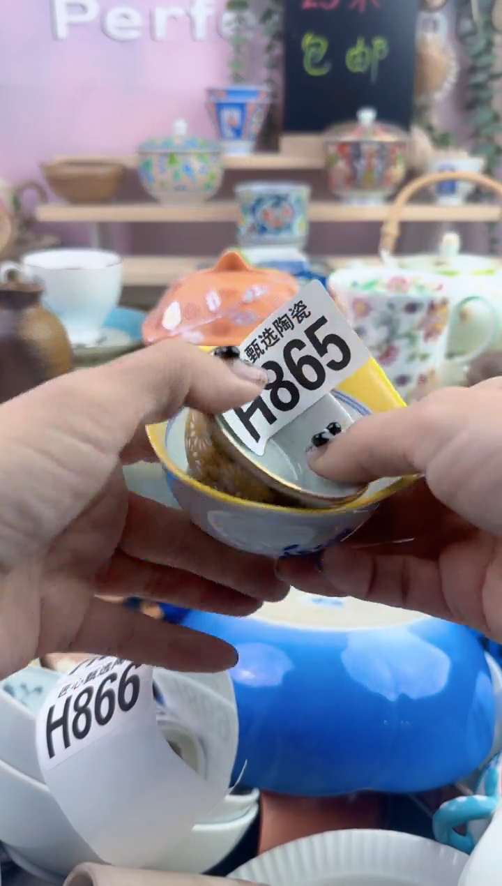 瓷片用****3        H865