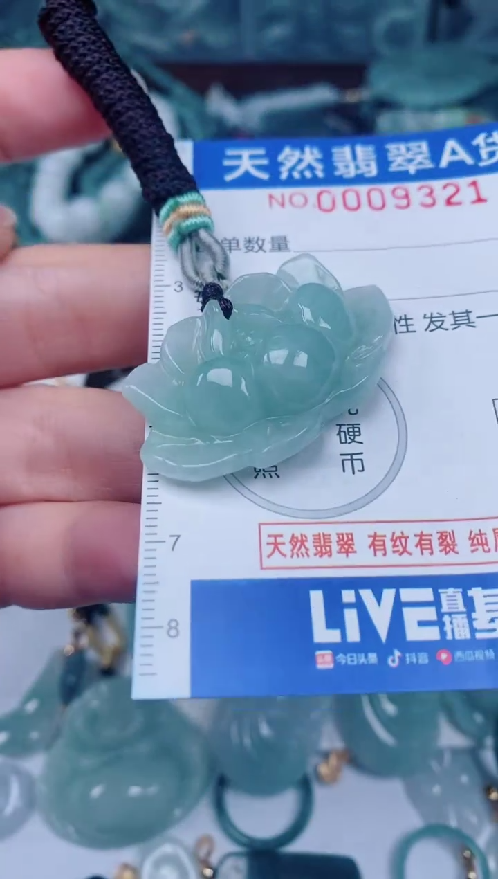 颈饰未镶嵌翡翠00009321