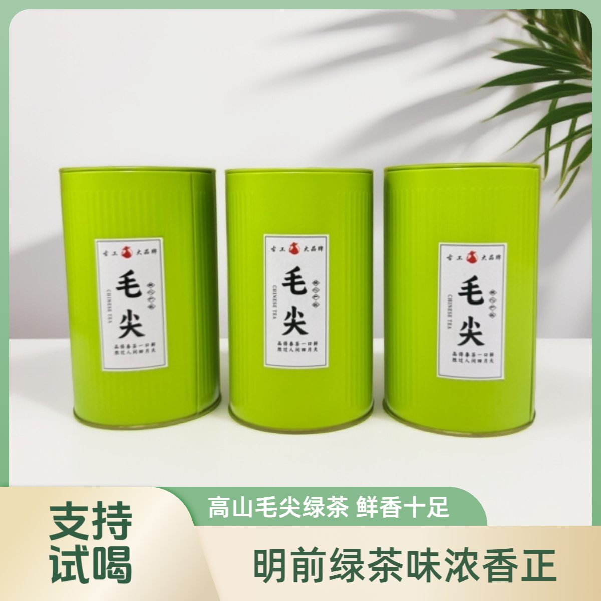 明前绿茶毛尖新茶云雾嫩芽浓香型春茶罐装随机发