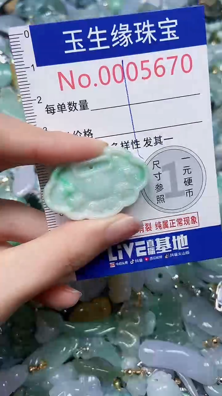 【闪购商品】翡翠颈饰未镶嵌闪购00005670