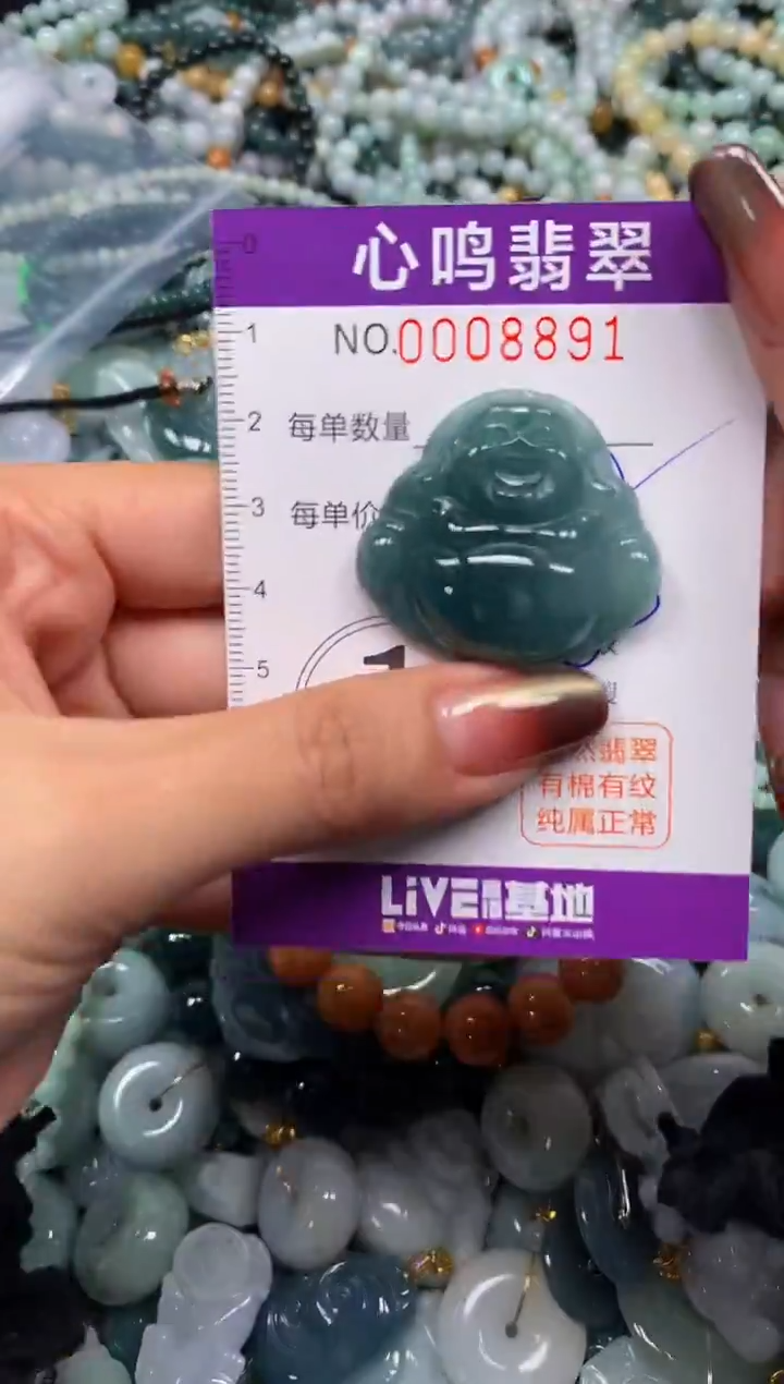 颈饰未镶嵌翡翠闪购008891