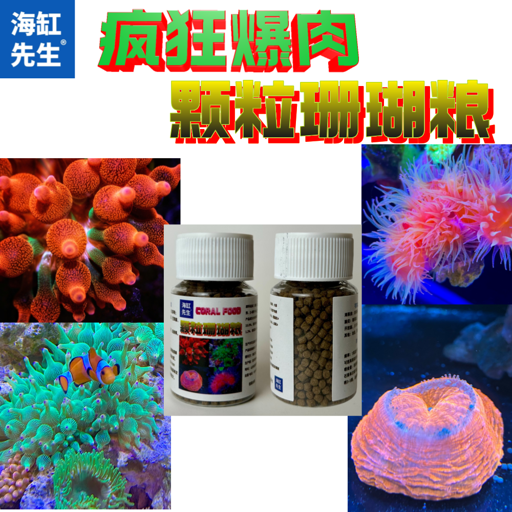 颗粒珊瑚粮【疯狂爆肉】奶嘴海葵营养炮仗花脑类喂食颗粒珊瑚粮饲料