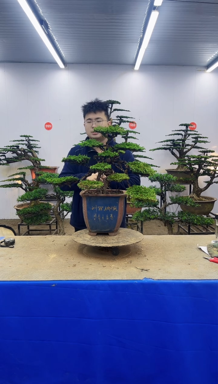 完全开放一物一拍，所见即所得