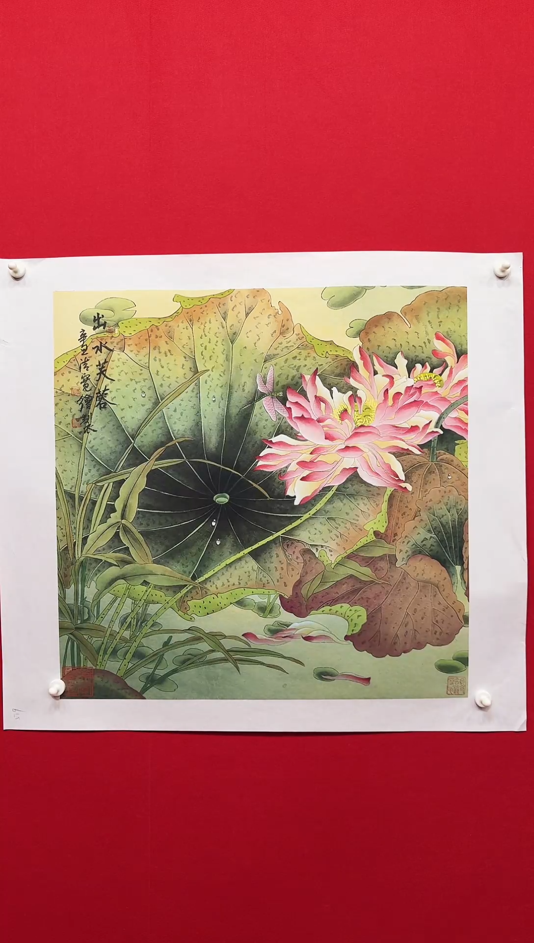 国画宣纸/书画/绘画/国画