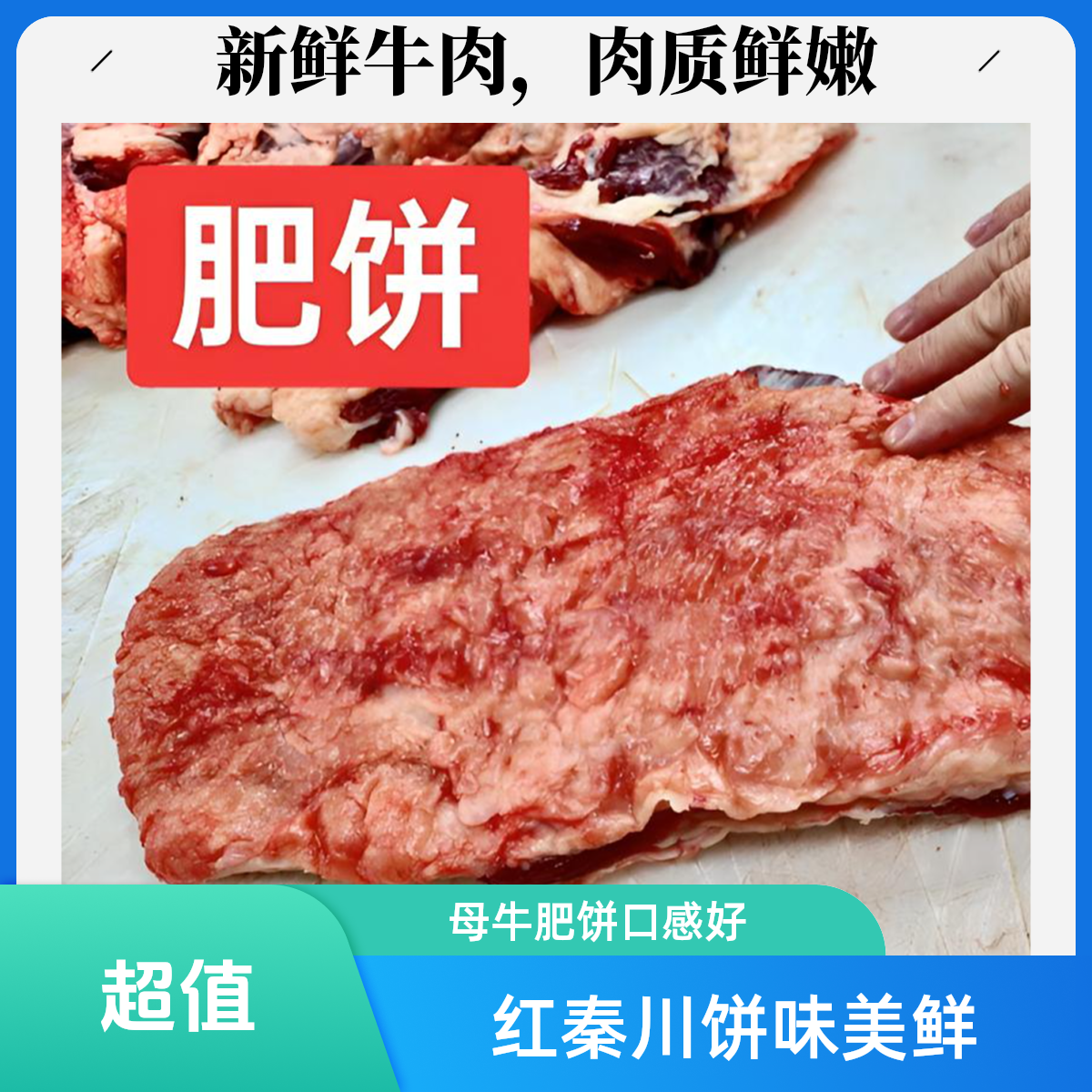 红秦川肥母牛肥饼