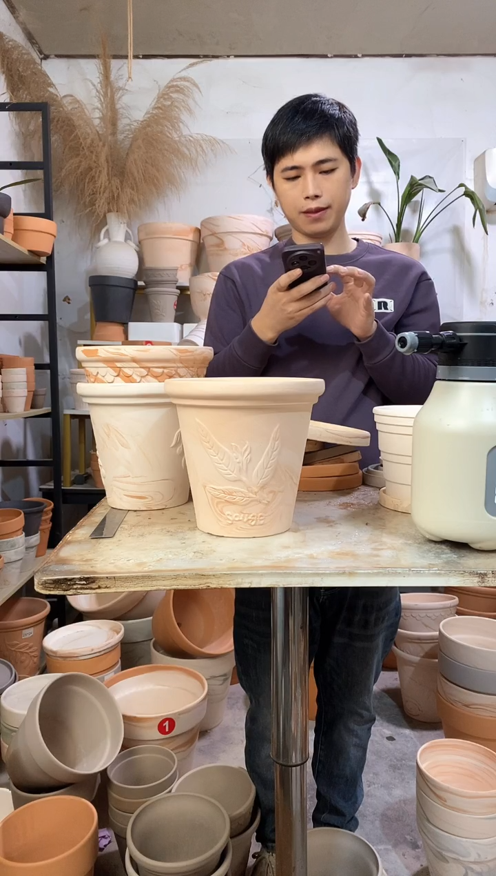 20*19玛奇朵香草 1盆无托