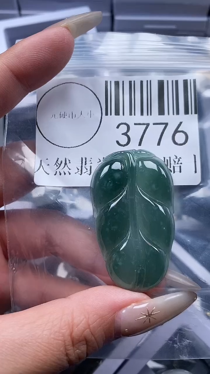 颈饰未镶嵌翡翠3776
