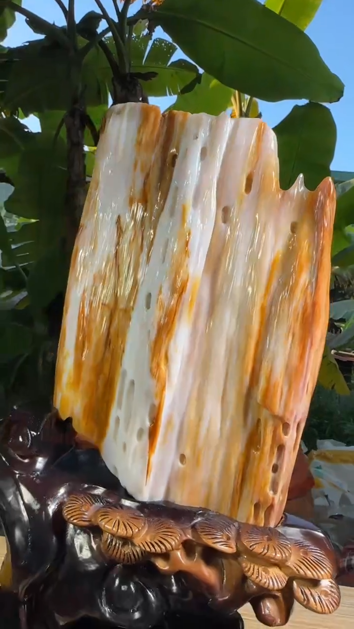 【闪购商品】硅化玉珠宝奇石未镶嵌拍一发一