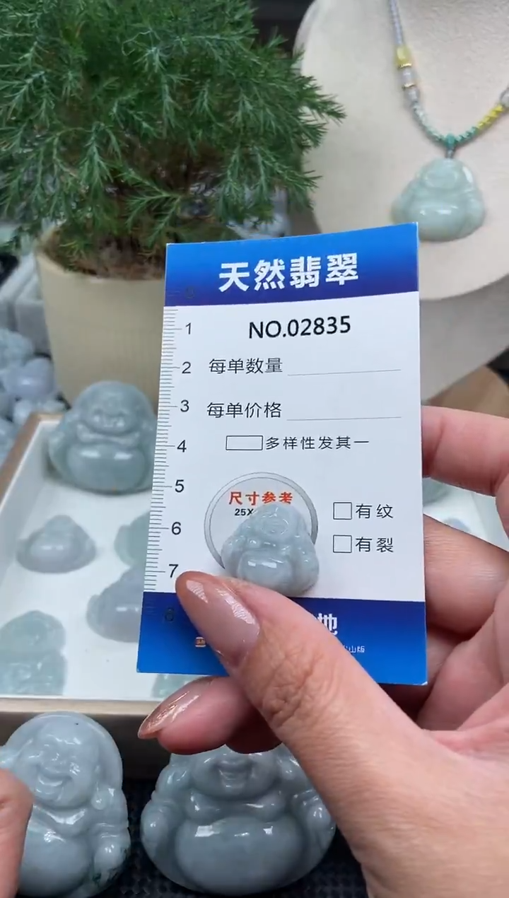 颈饰未镶嵌翡翠纯天然A货翡翠2835