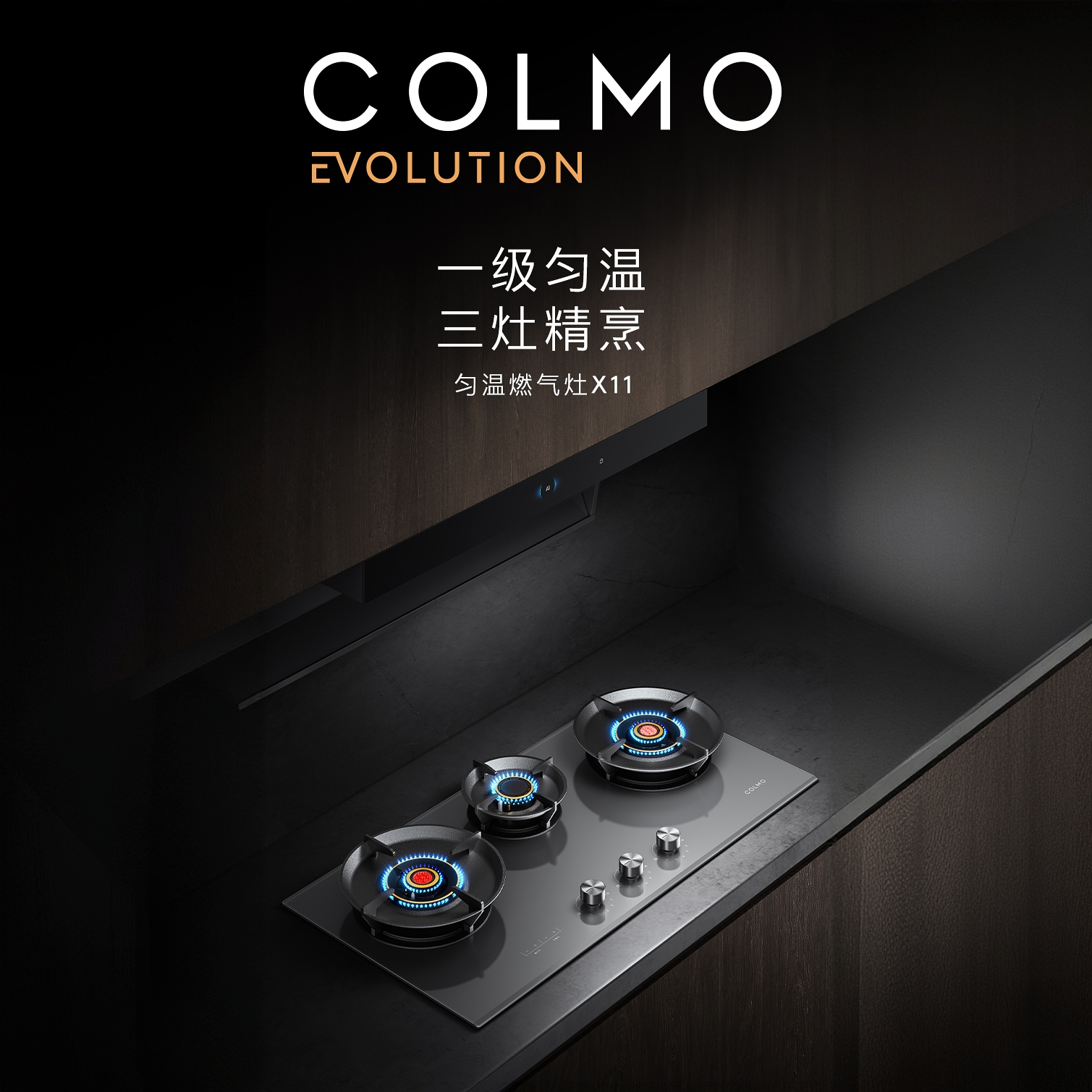 COLMO天燃气灶具JZT-CTS3522-X11定时嵌入式5.2K大火力三灶同饪