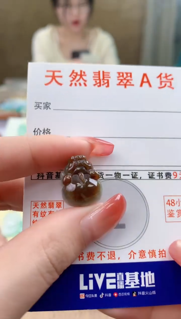 颈饰未镶嵌翡翠天然A货翡翠挂件