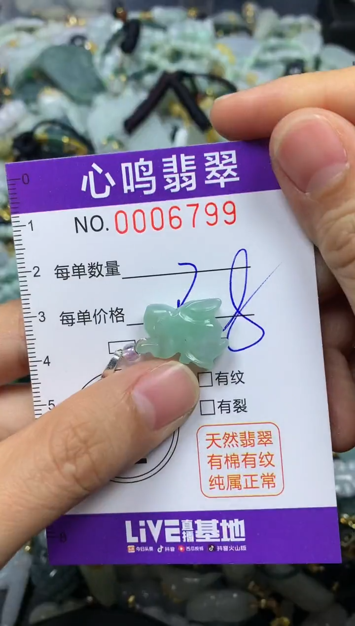 【闪购商品】翡翠颈饰未镶嵌闪购006799