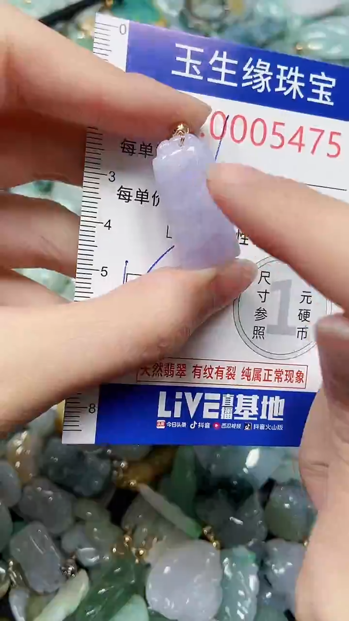 【闪购商品】翡翠颈饰未镶嵌闪购5475