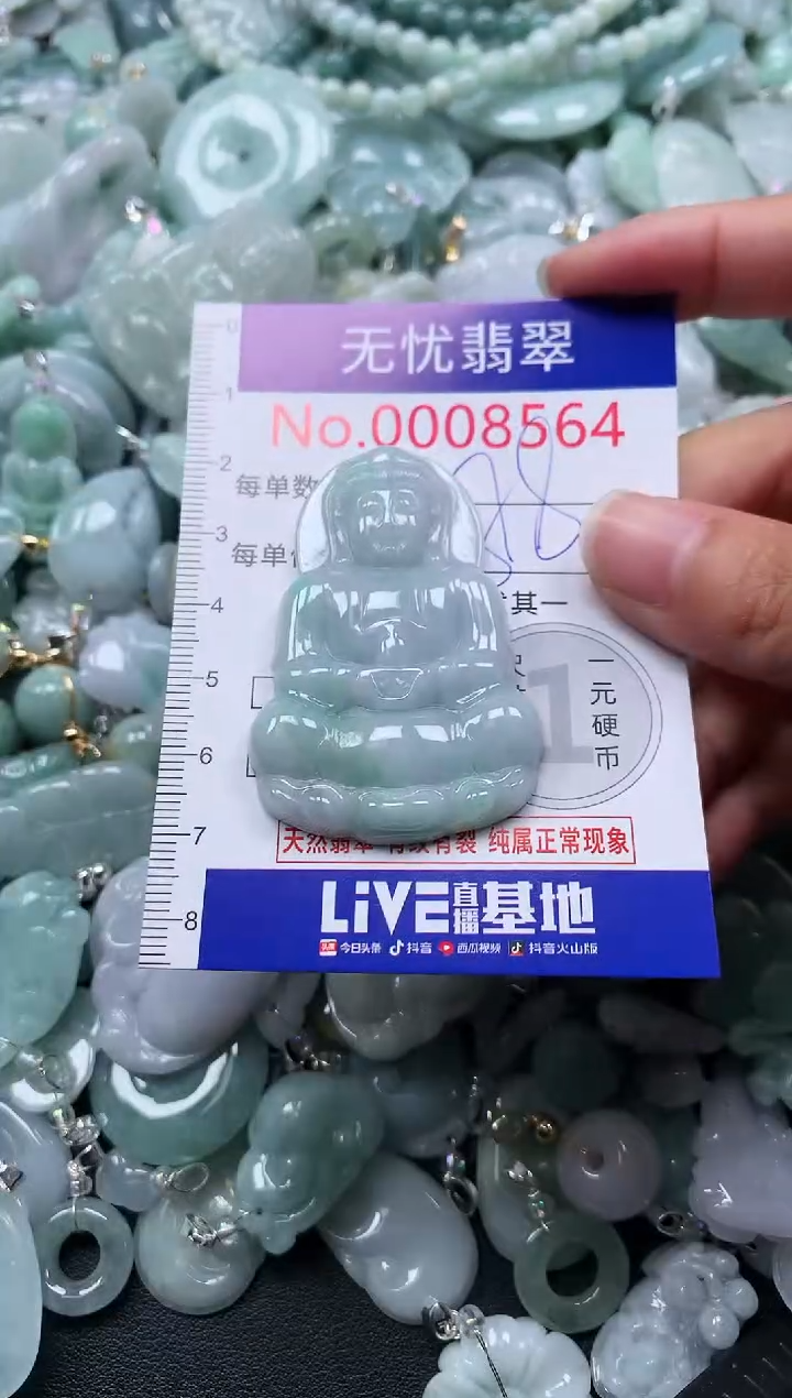 颈饰未镶嵌翡翠8564