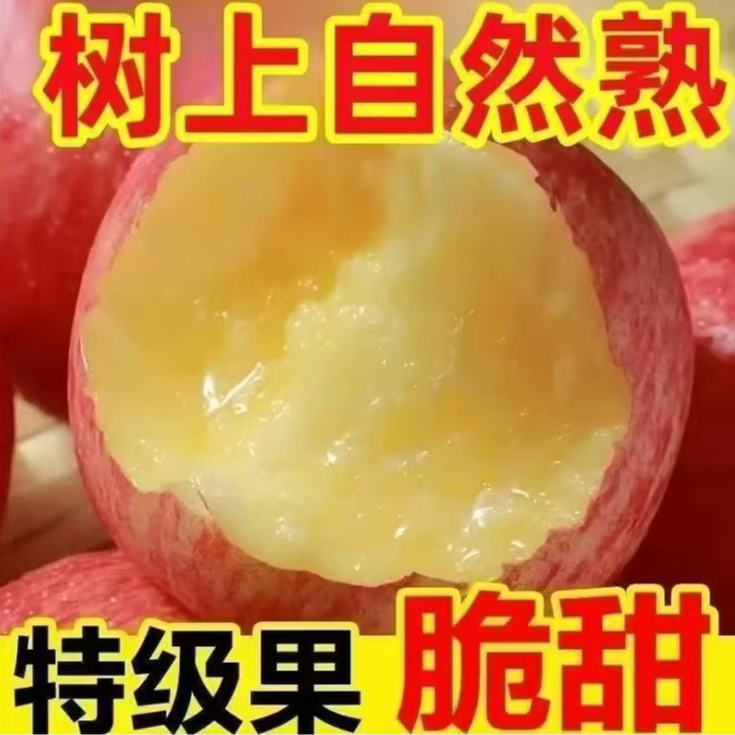 红富士2025新果现摘产地直发脆甜多汁新鲜现摘 