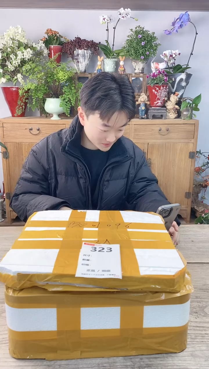 小玩子花盆直播编号323