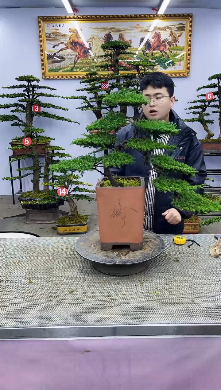 【闪购商品】00000000000000